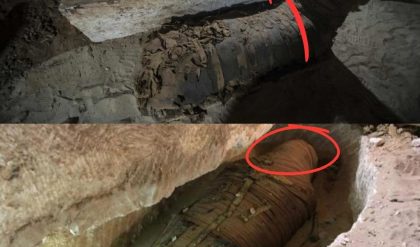Breaking: Unearthing Dark Secrets: 70 Million Mummified Animals Discovered in Ancient Egypt.