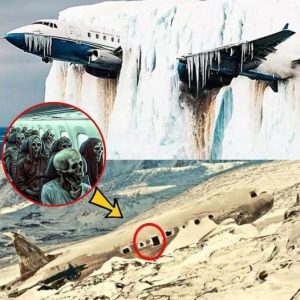 Breaking news: Researchers were stunned to discover an ancient plane encased in centuries-old ice