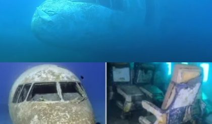Breaking: MH370: Expert claims suicidal pilot deliberately crashed Malaysian Airlines Flight into Deep Sea trench.