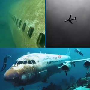 Breaking: Eerie footage shows inside sunken passenger plane once mistaken for missing MH370 wreckage.