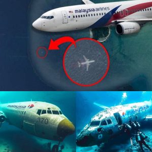 HOT: New Evidence Redefines Investigation into the Mysterious Disappearance of Malaysian Flight 370.