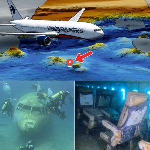 Breaking: MH370 Mystery Unveiled: Groundbreaking Discovery Poised to Reveal Fate of Missing Flight