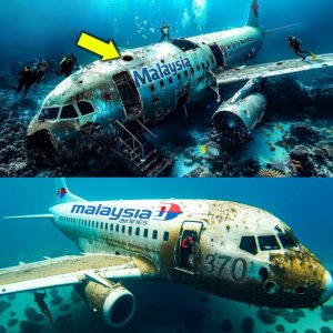 Breaking News: After 10 Years, Researchers Finally Found Malaysia Airlines MH370's Location?