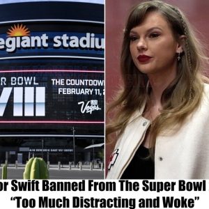 Breaking: NFL Bans Taylor Swift From Super Bowl, "She's Too Distracting"