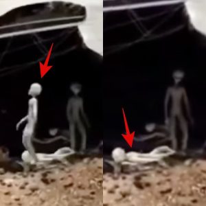 Breaking: Unbelievable Sighting: New Mexico UFO Crash Video Shows Possible Alien Encounter.