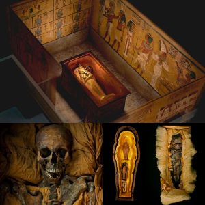 BREAKING NEWS: The Curse of Tutankhamun: Investigating the Mysterious Deaths of Nine Explorers Over Ten Years.