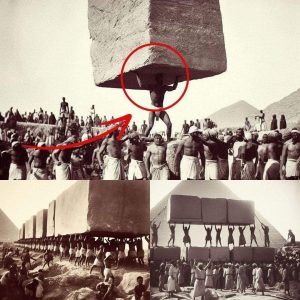 HOT: Rewriting History: The Myth of Suffering Slaves in Pyramid Construction.