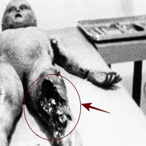 HOT NEWS: Decades of Secrecy Exposed: 70 Years of Military Concealment Reveals Extraterrestrial Bodies.