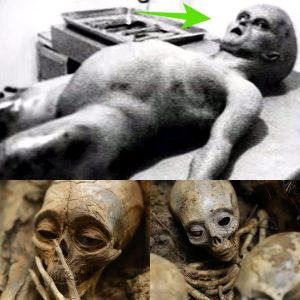 BREAKING NEWS: Chilling Discovery: Intact 2-Million-Year-Old Big-Headed Alien Found Inside Egyptian Pyramid.